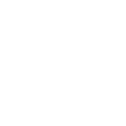 Local Support